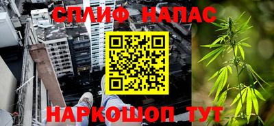 шишки Заводоуковск